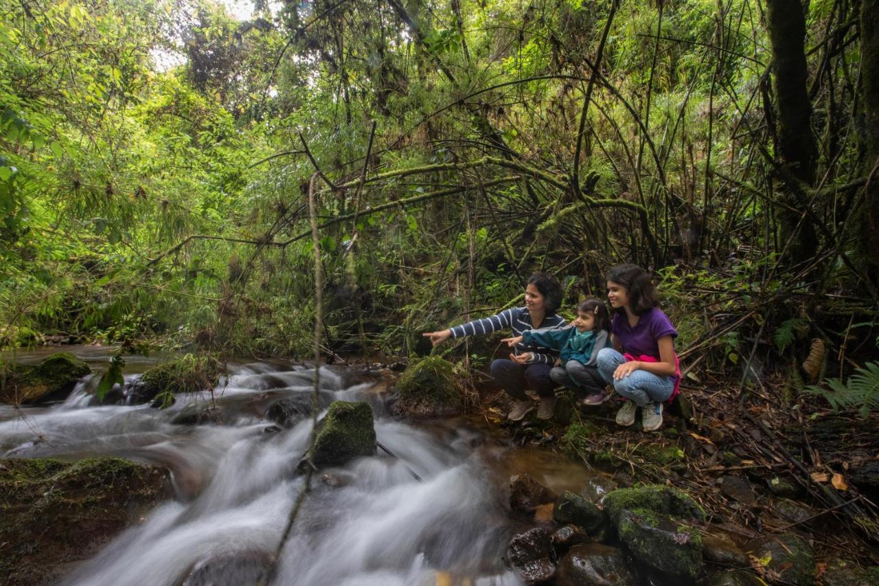 Dantica Cloud Forest Lodge 산제라르도 데 도타 외부 사진