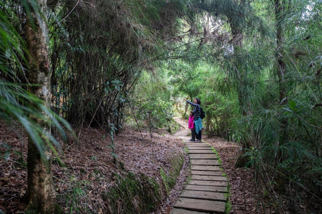Dantica Cloud Forest Lodge 산제라르도 데 도타 외부 사진