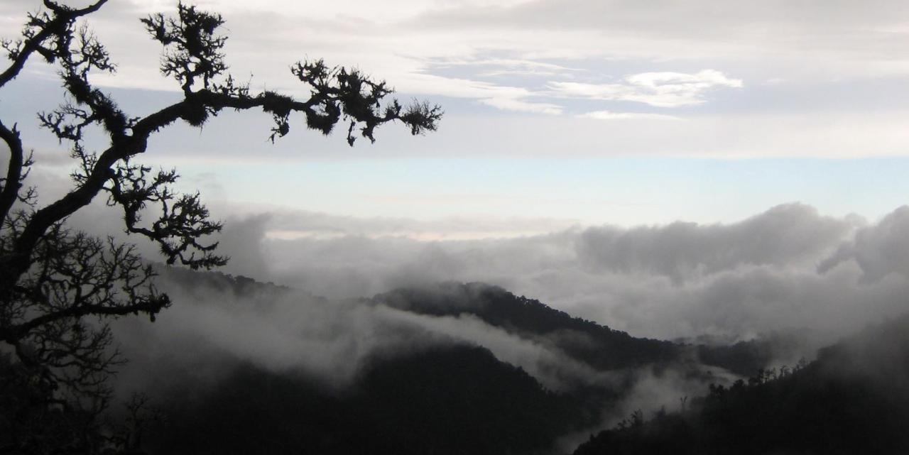 Dantica Cloud Forest Lodge 산제라르도 데 도타 외부 사진