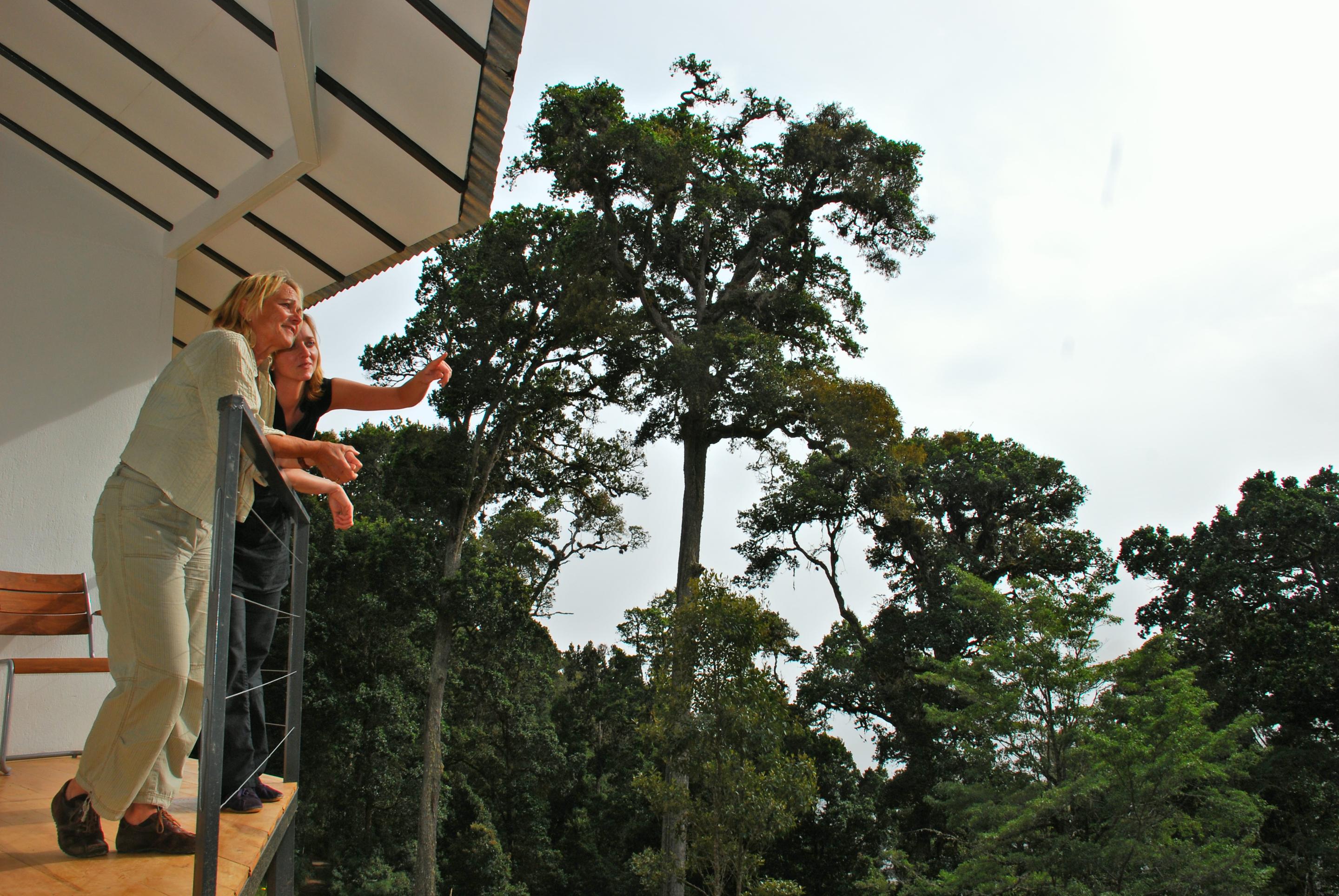 Dantica Cloud Forest Lodge 산제라르도 데 도타 외부 사진