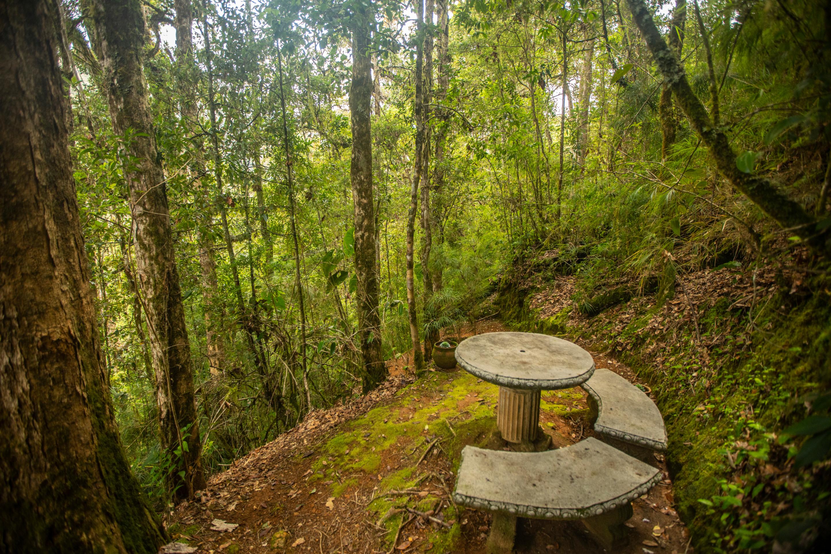 Dantica Cloud Forest Lodge 산제라르도 데 도타 외부 사진