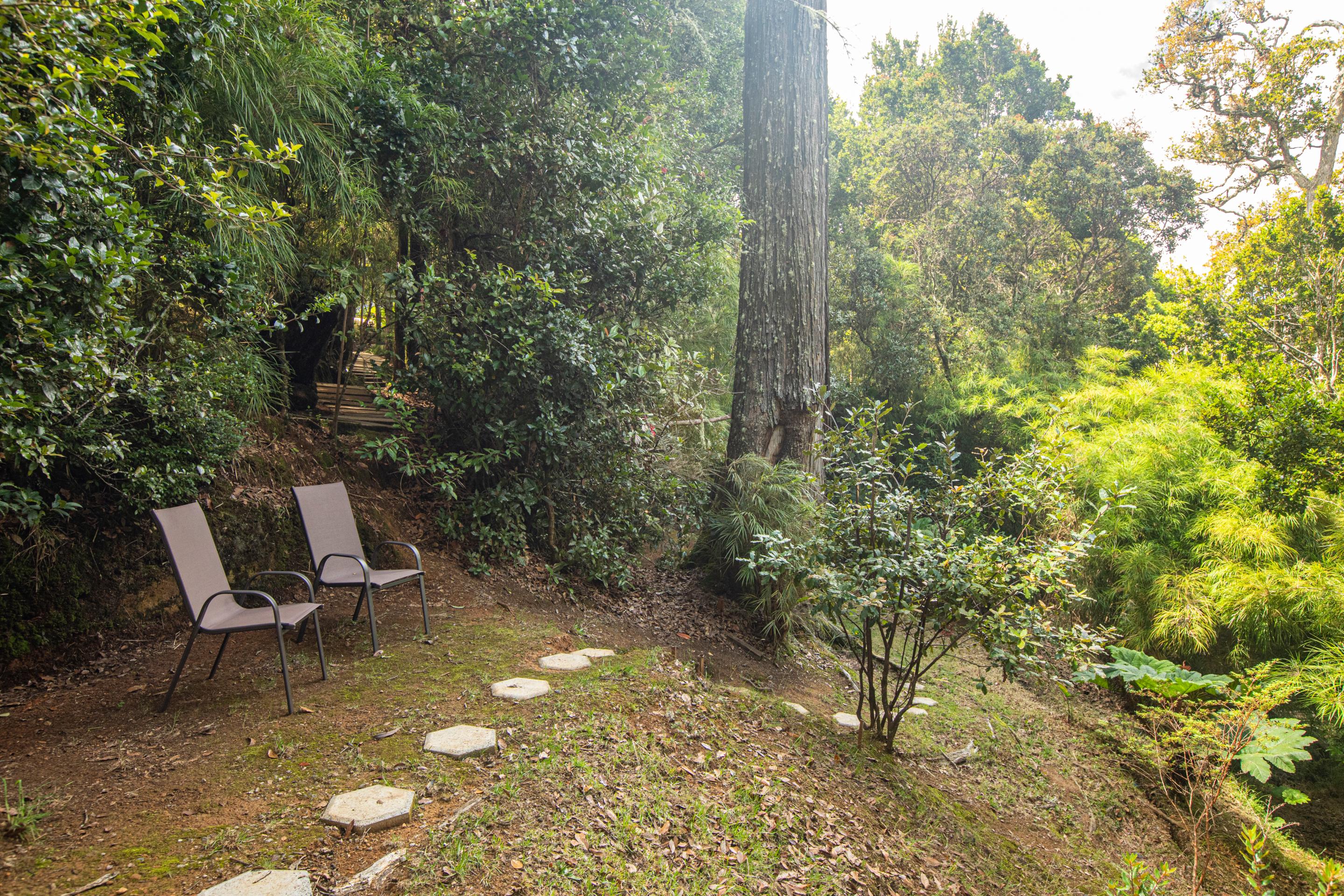 Dantica Cloud Forest Lodge 산제라르도 데 도타 외부 사진