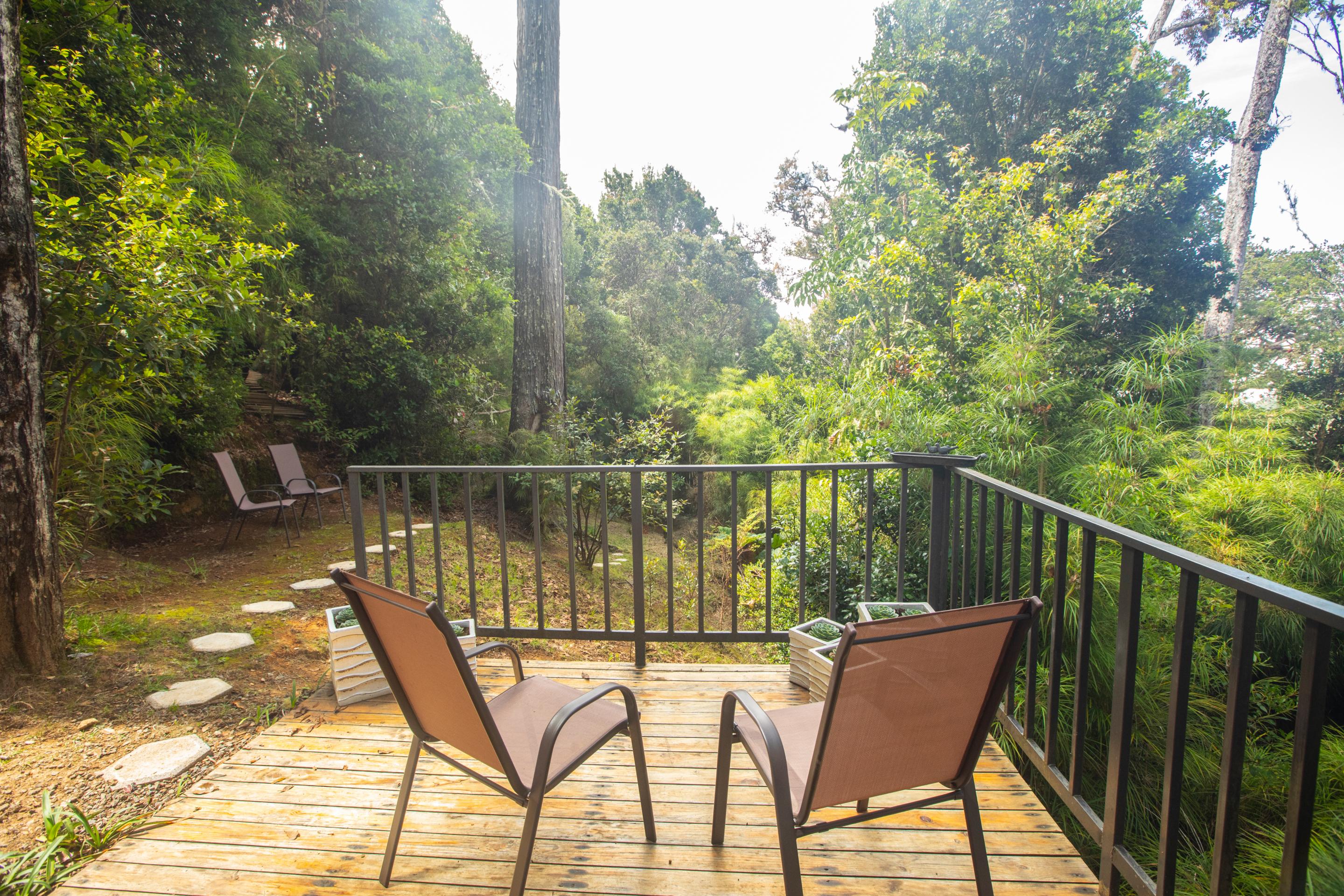 Dantica Cloud Forest Lodge 산제라르도 데 도타 외부 사진