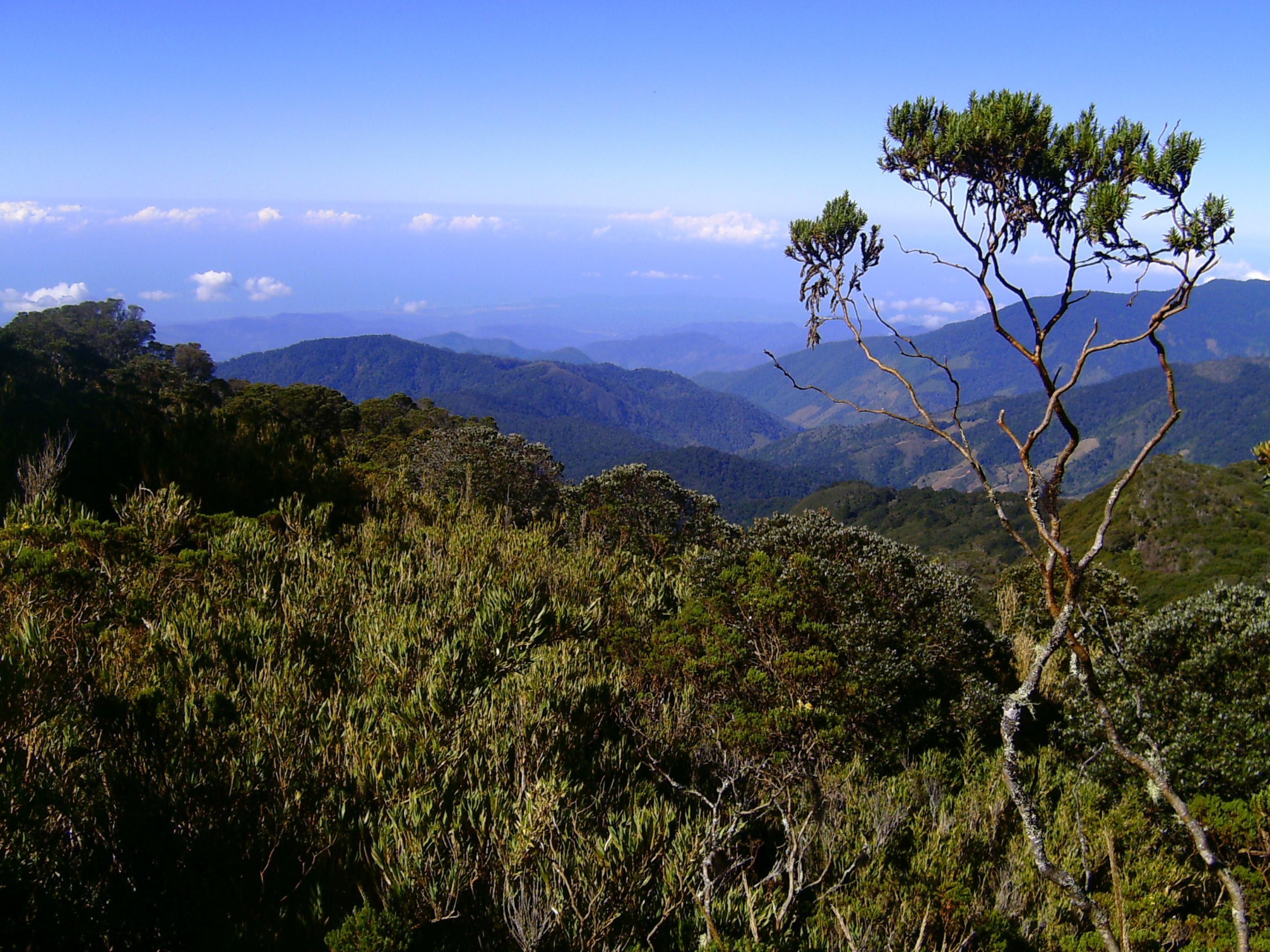 Dantica Cloud Forest Lodge 산제라르도 데 도타 외부 사진