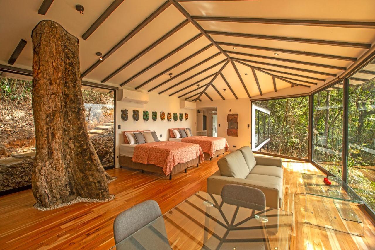 Dantica Cloud Forest Lodge 산제라르도 데 도타 외부 사진