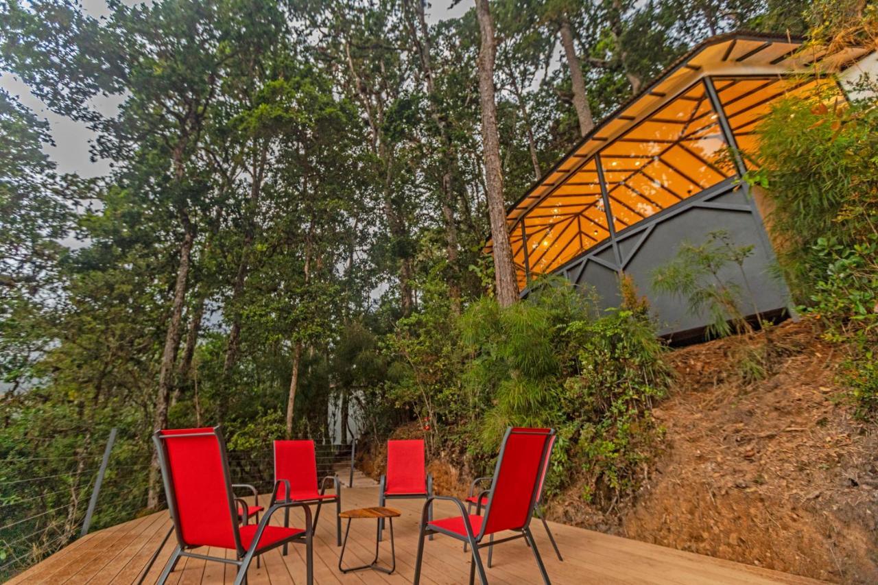 Dantica Cloud Forest Lodge 산제라르도 데 도타 외부 사진