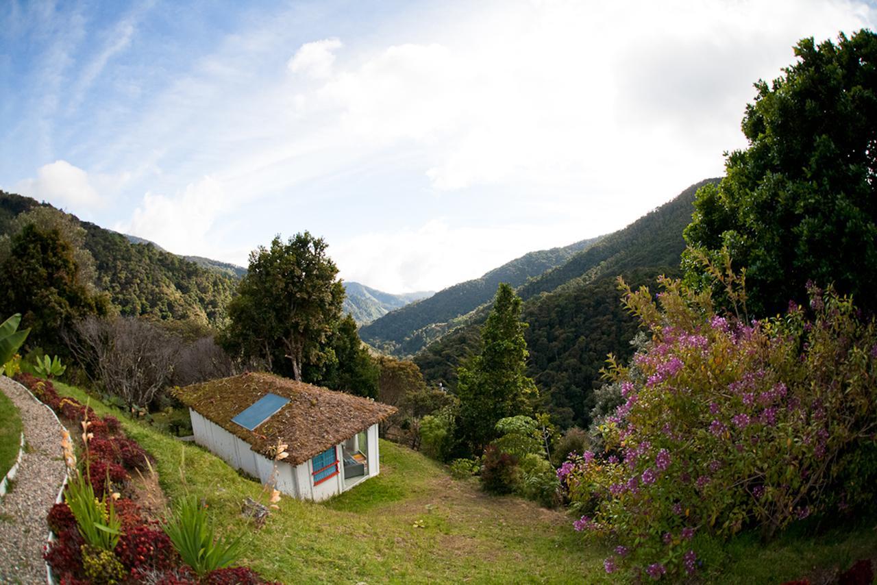 Dantica Cloud Forest Lodge 산제라르도 데 도타 외부 사진